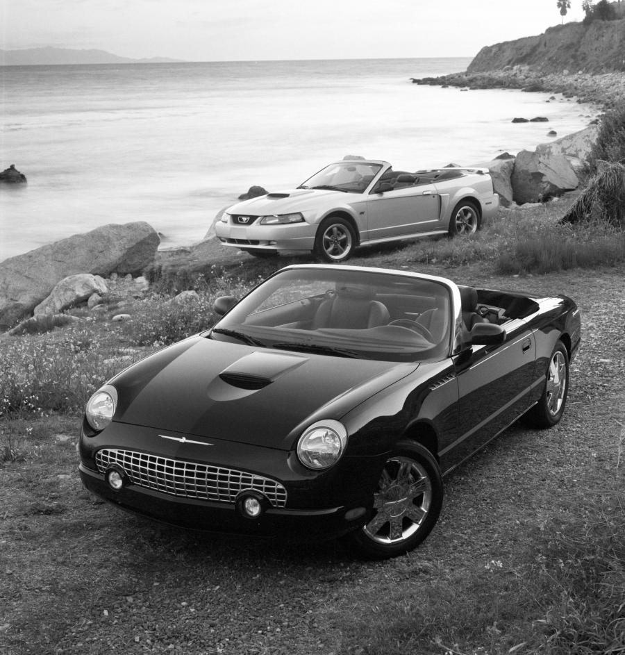 Ford Thunderbird 2002 года  (фото 11 из 161)